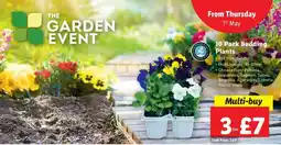 Lidl 10 Pack Bedding Plants offer