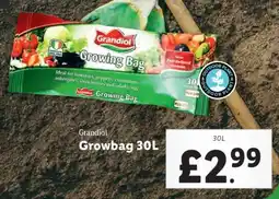 Lidl Grandiol Growbag 30L offer