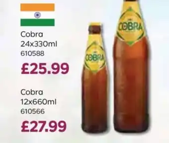 Bestway Cobra offer