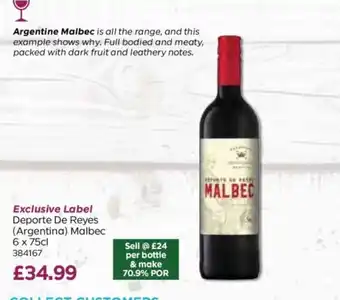 Bestway Deporte De Reyes (Argentina) Malbec offer