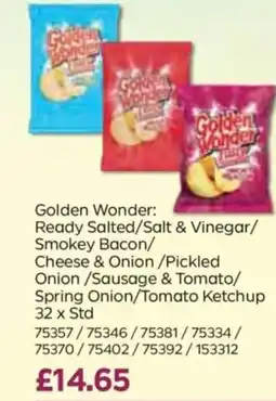 Bestway Golden Wonder offer
