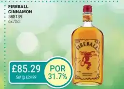 Bestway FIREBALL Cinnamon offer