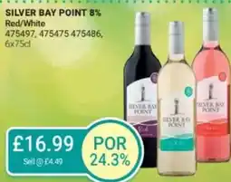 Bestway SILVER BAY POINT 8% Red/White offer