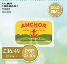 Bestway ANCHOR Spreadable offer