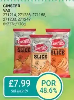 Bestway GINSTER offer