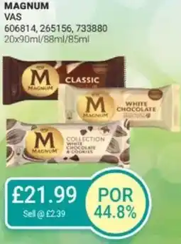 Bestway MAGNUM offer