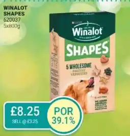 Bestway WINALOT Shapes offer
