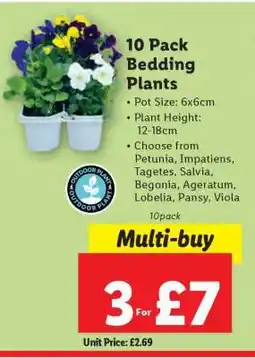 Lidl 10 Pack Bedding Plants offer
