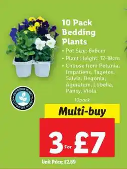 Lidl 10 Pack Bedding Plants offer