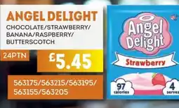 Bestway ANGEL DELIGHT Chocolate/strawberry/ banana/raspberry/ butterscotch offer