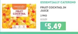 Bestway ESSENTIALLY CATERING Fruit cocktail in juice offer