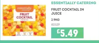 Bestway ESSENTIALLY CATERING Fruit cocktail in juice offer