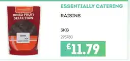 Bestway ESSENTIALLY CATERING Raisins offer