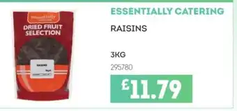 Bestway ESSENTIALLY CATERING Raisins offer