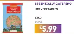 Bestway ESSENTIALLY CATERING Mix vegetables offer