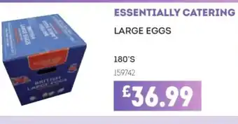 Bestway ESSENTIALLY CATERING Large eggs offer
