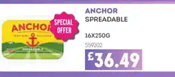 Bestway ANCHOR Spreadable offer