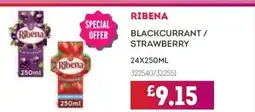 Bestway RIBENA Blackcurrant / strawberry offer