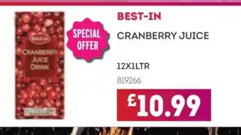 Bestway BEST-IN Cranberry juice offer