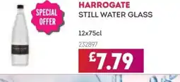 Bestway HARROGATE Still water glass offer