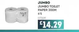 Bestway Jumbo toilet paper 300m 6's offer