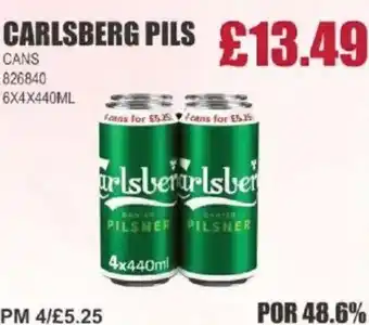 Bestway CARLSBERG PILS Cans offer