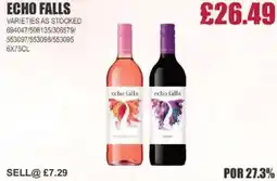 Bestway ECHO FALLS offer