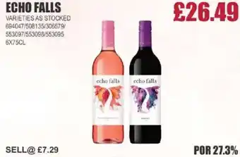 Bestway ECHO FALLS offer