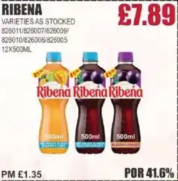 Bestway RIBENA offer
