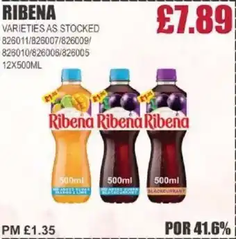 Bestway RIBENA offer