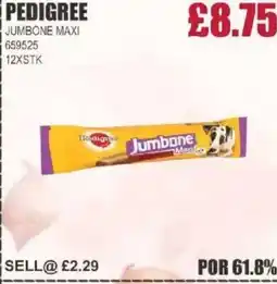 Bestway PEDIGREE Jumbone maxi offer