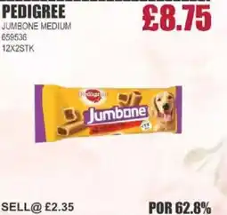 Bestway PEDIGREE Jumbone medium offer