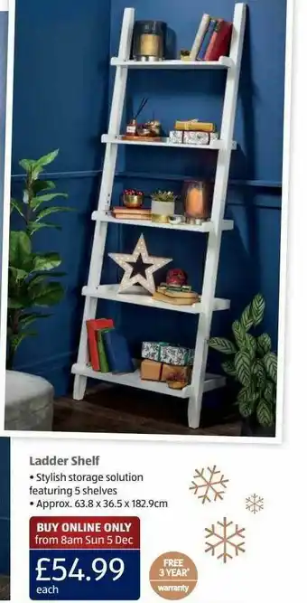 Aldi Ladder Shell offer