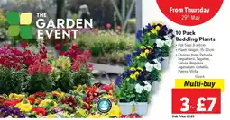 Lidl 10 Pack Bedding Plants offer