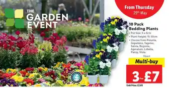Lidl 10 Pack Bedding Plants offer