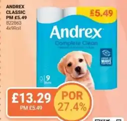 Bestway ANDREX Classic offer
