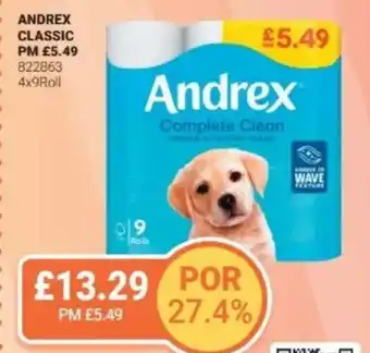 Bestway ANDREX Classic offer