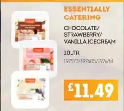 Bestway ESSENTIALLY CATERING Chocolate/ strawberry/ vanilla icecream offer
