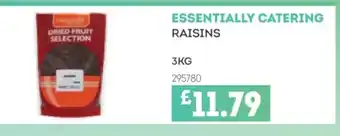 Bestway ESSENTIALLY CATERING Raisins offer