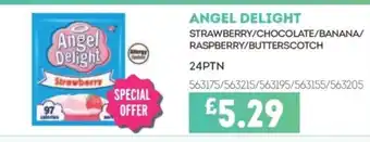Bestway ANGEL DELIGHT Strawberry/chocolate/banana/ raspberry/butterscotch offer