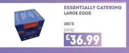 Bestway ESSENTIALLY CATERING Large eggs offer