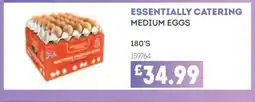 Bestway ESSENTIALLY CATERING Medium eggs offer