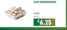 Bestway Cup mushrooms offer