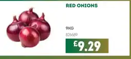 Bestway Red onions offer