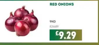 Bestway Red onions offer
