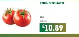 Bestway Round tomato offer
