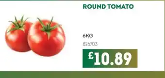 Bestway Round tomato offer