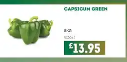 Bestway Capsicum green offer