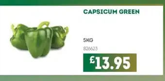 Bestway Capsicum green offer