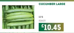 Bestway Cucumber large offer